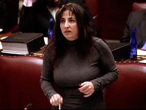 Click to play Diane J. Savino: The case for same-sex marriage