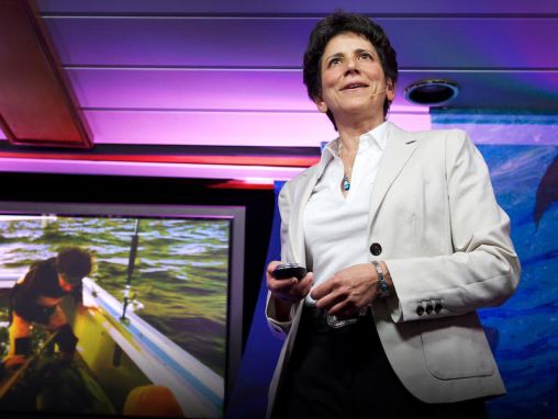 Click to play Barbara Block: A nyílt óceáni tonhalak megjelölése