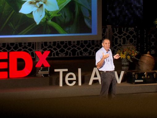 シモン・スタインバーグ: シモン・スタインバーグ：大自然によるペストコントロール、虫！